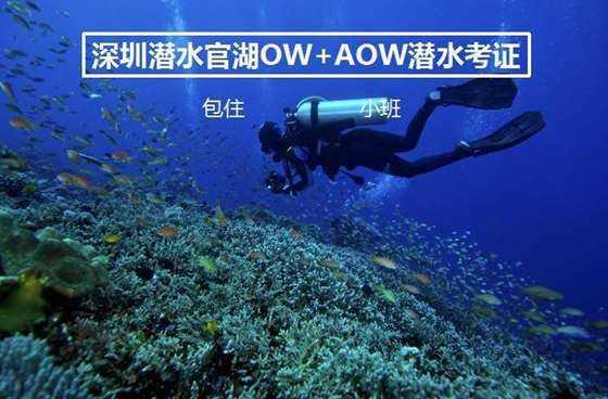 蒲城县立学瓜菜协会获评全国“百强农技协”
